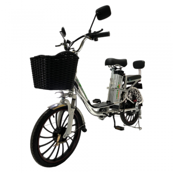 Электровелосипед GreenCamel Транк 20 V8 PRO (R20 250W) алюм, 2х подвес