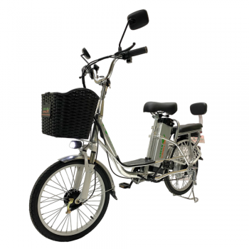 Электровелосипед GreenCamel Транк 20 V8 (R20 250W 60V10Ah) алюм, редуктор